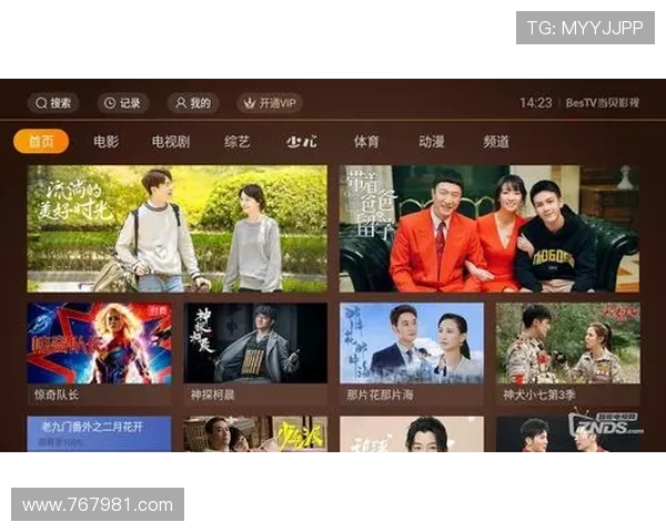 db多宝体育官网的VIP会员制度与福利详解